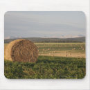 Search for cropping electronics Bale
