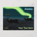 Search for caribou postcards Reindeer
