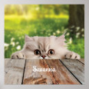 Search for peek a art Kitty