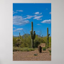 Recherche de southwestern posters Cactus