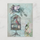 Search for vintage birdcage postcards French