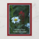 Search for single postcards Photography