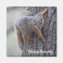 Recherche de animal drôle magnets Écureuil