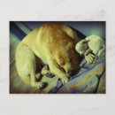 Recherche de chiot labrador cartes postales Mignonette