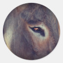 Recherche de oeil animal autocollants Mignon