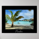 Recherche de arbre tropical posters Paradis