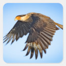 Recherche de oiseaux en vol autocollants Nature