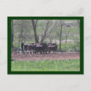 Search for teamwork postcards Nature