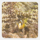 Search for sea creature stickers Nature