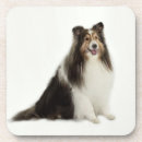 Search for sheepdog barware Sheltie
