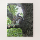 Recherche de gland photographie Arbre