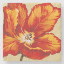 Recherche de tulipe dessous de verres Fleurs