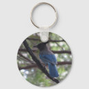 Search for big bird keychains Animal