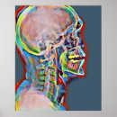 Recherche de human anatomy posters Medical