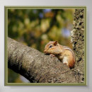 Search for chip and dale gifts Animals