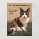 Recherche de humour chat cartes postales Lapin