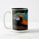 Search for blue and gold macaw mugs Bird
