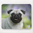 Recherche de alerte tapis souris Chien