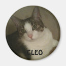 Recherche de amant d magnets Animaux familiers