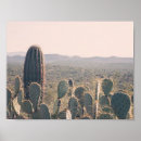 Recherche de cactus posters Arizona
