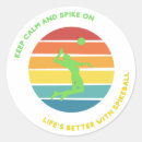 Search for volleyball spike stickers Team