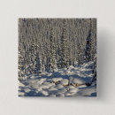 Search for alberta buttons Park