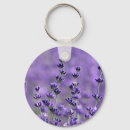 Recherche de fleurs de lavande porteclés Jardin