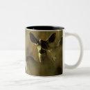 Search for mule deer mugs Wildlife