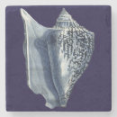Recherche de écosse dessous de verres Coquilles de mer