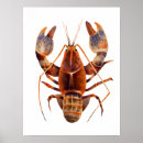 Search for lobster art Ocean