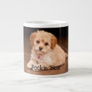 Recherche de chaton chiot tasses Dog