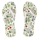 Search for floral sandals Botanical