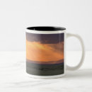 Search for acacia mugs Sky