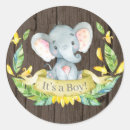 Search for elephant envelope seals It's a boy