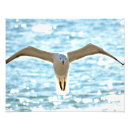 Search for gull art Sea