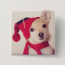 Recherche de chiwawa badges Animal