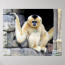 Search for cheeks posters Nature