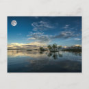 Recherche de plantes tropicaux de forêt tropicale cartes postales Nature