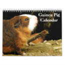Search for pig calendars 2027
