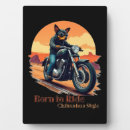 Recherche de moto plaques Animal