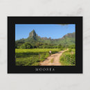 Recherche de île verte cartes postales Tropical