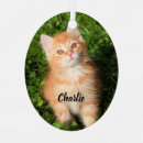 Search for orange kitten ornaments Pet
