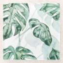 Search for palm leaf coasters Leaves