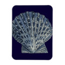 Recherche de coquille de mer magnets Côtier