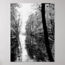 Search for forests posters Water