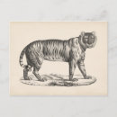 Recherche de dessin tigre posters Sketch