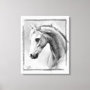 Search for black stallion canvas prints Animal