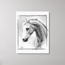 Search for black stallion canvas prints Black and white