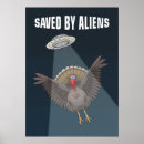 Recherche de dindes posters Animaux