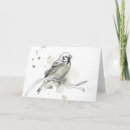 Search for perch cards Animal